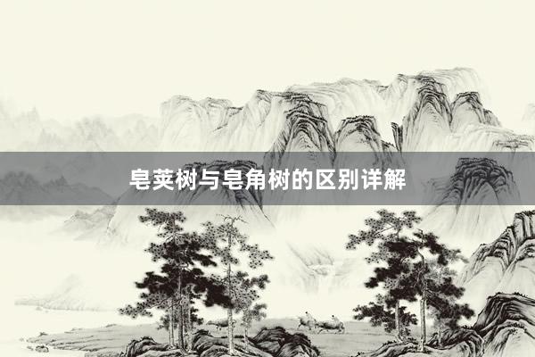 皂荚树与皂角树的区别详解
